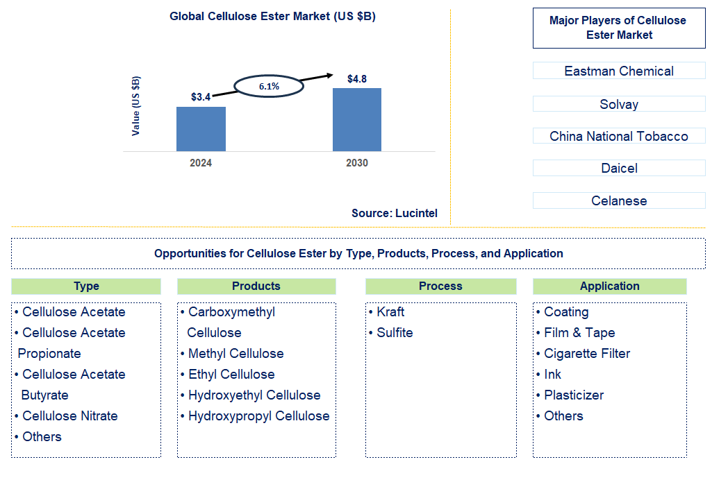 Cellulose Ester Trends and Forecast